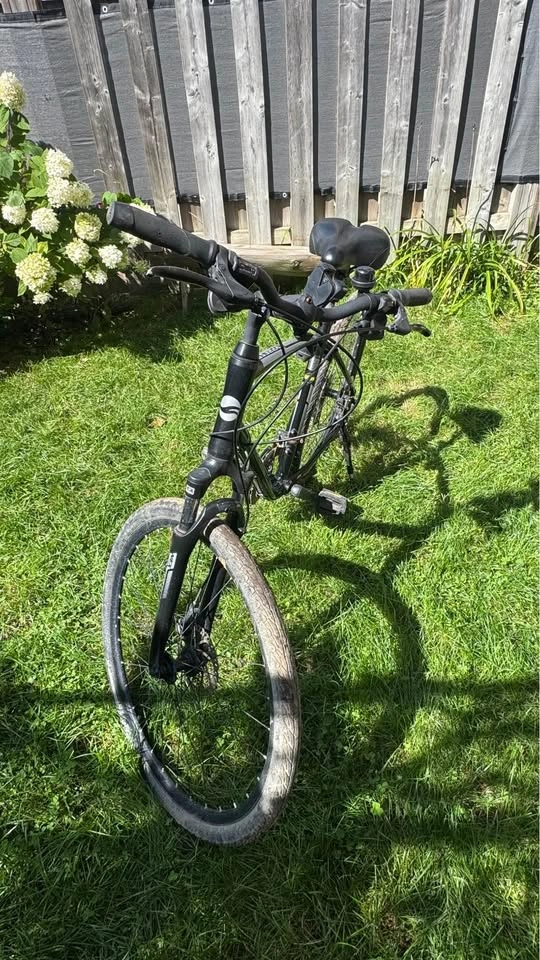 2021 Giant Cypress DX Bike - Hybrid - Large Frame - photo 2
