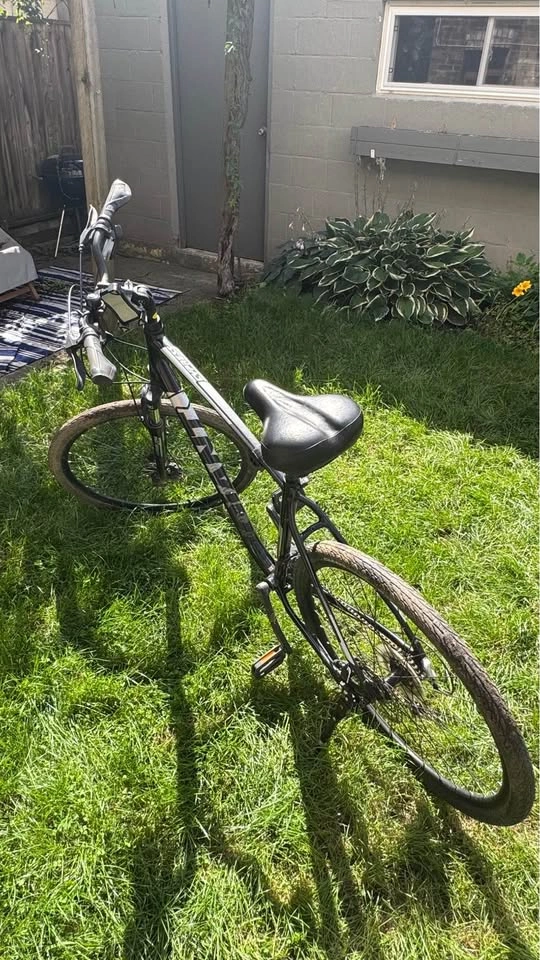 2021 Giant Cypress DX Bike - Hybrid - Large Frame - photo 3