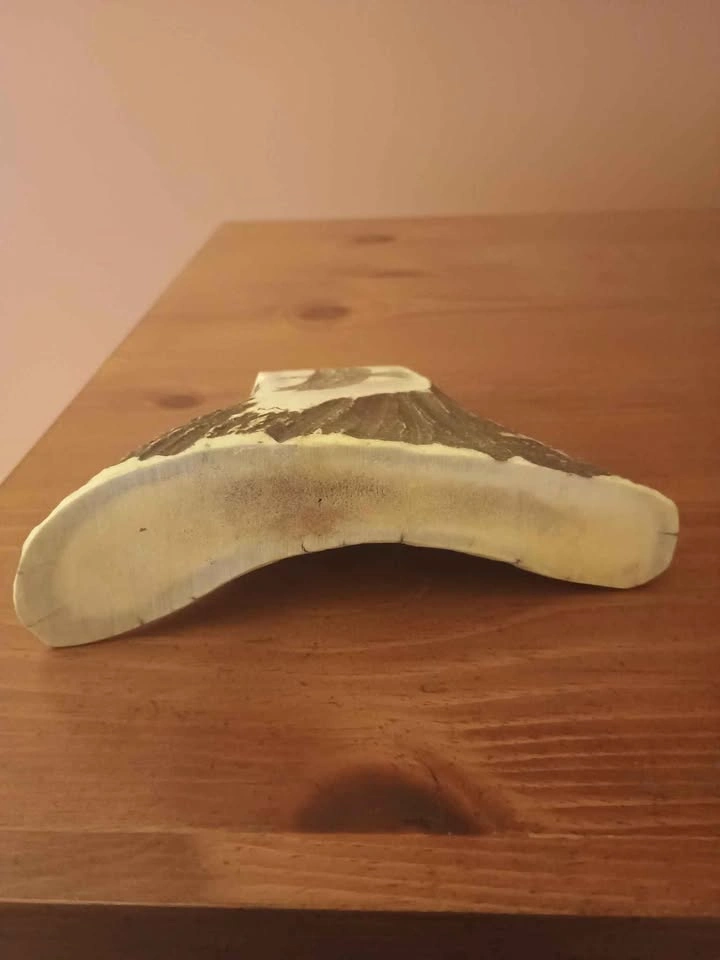 Eagle Scrimshaw on Moose Antler Signed RA? FRA? TRA? - photo 3