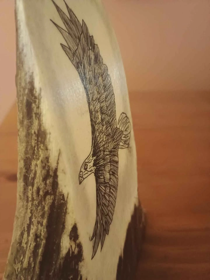 Eagle Scrimshaw on Moose Antler Signed RA? FRA? TRA? - photo 5