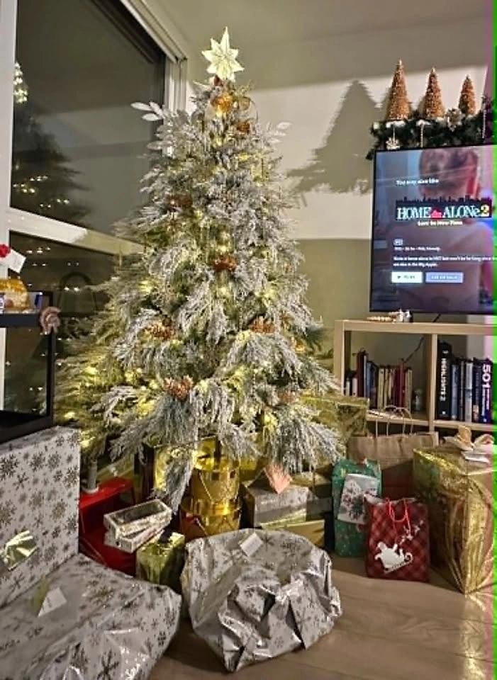 DORTALA - Pre-Lit Snow Flocked Christmas Tree