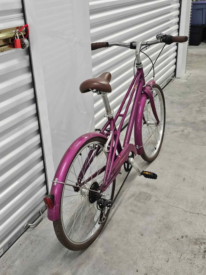Schwinn Mifflin - photo 2