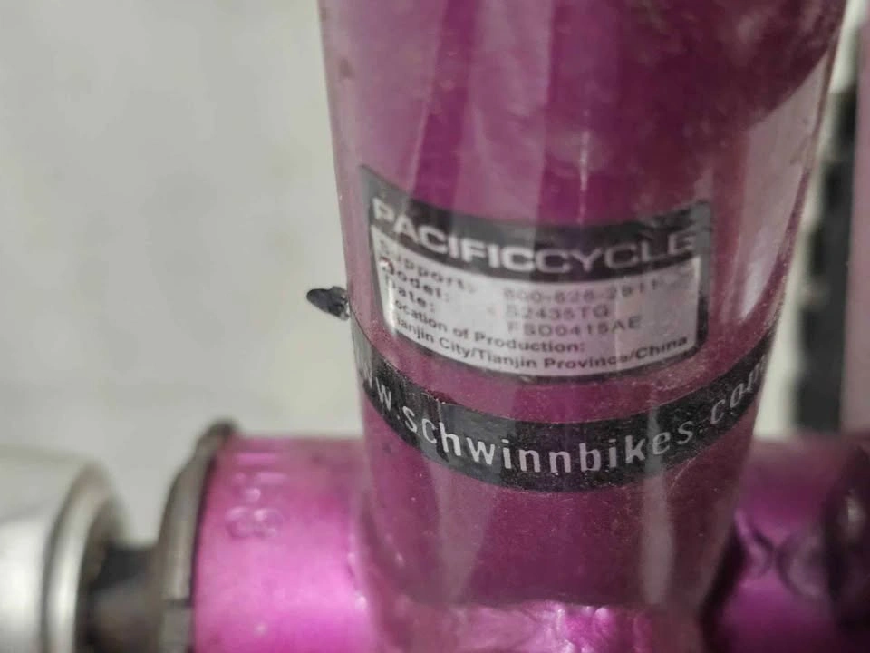 Schwinn Mifflin - photo 4