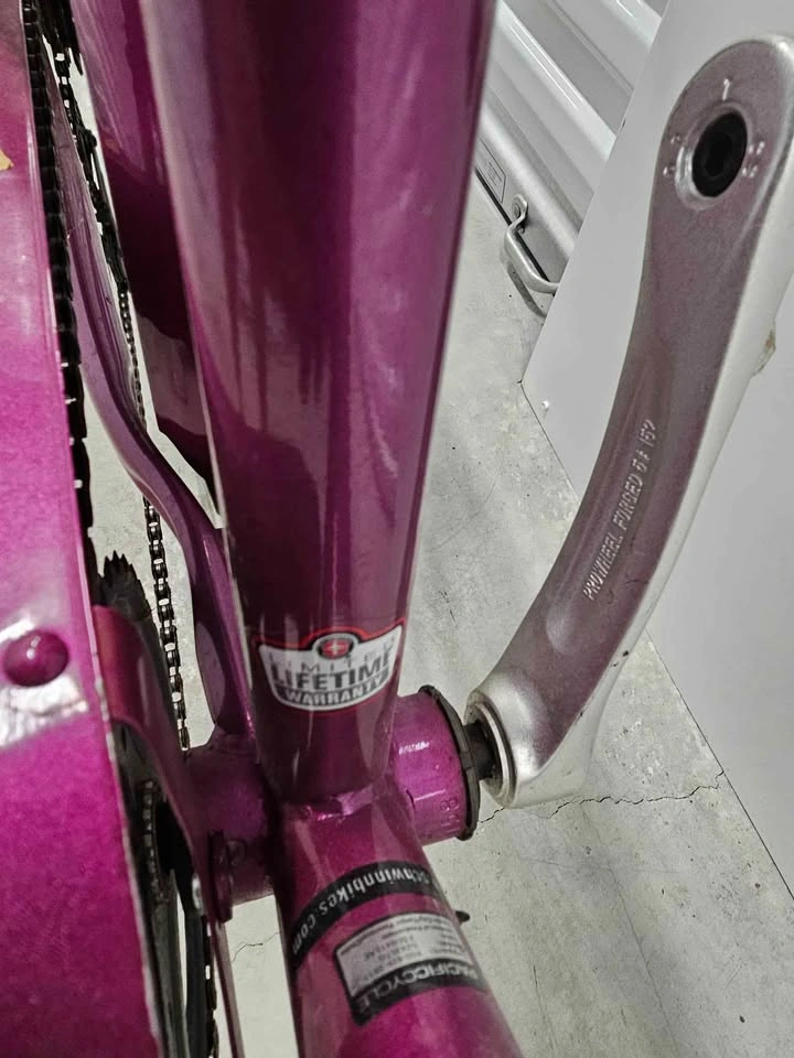 Schwinn Mifflin - photo 5