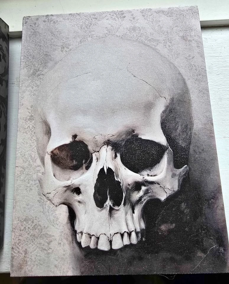 Skull Canvas Wall Art