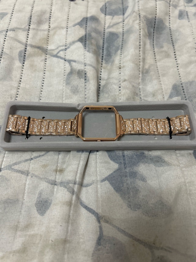 watch case gold & silver