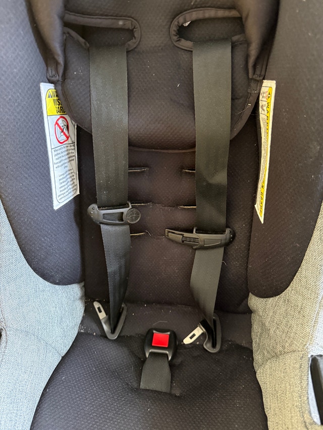 Safety 1st Car Seat - photo 3