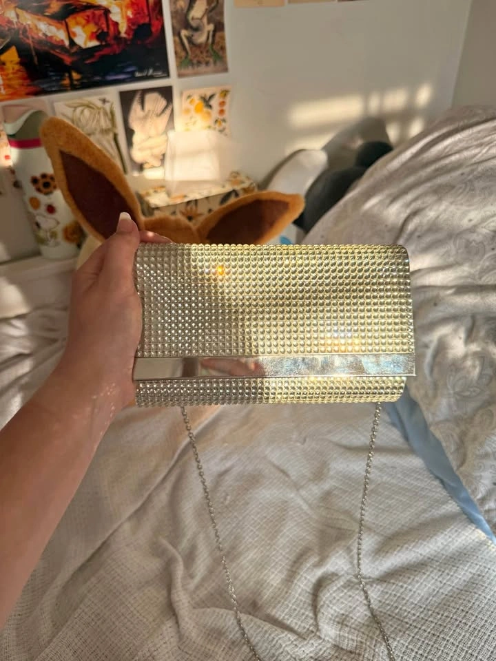 ALDO pouch