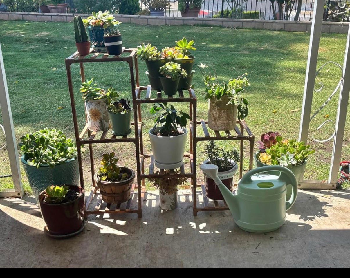 7-Tier Carbonized Pine Plant Stand for 13 Potted Plants - photo 3