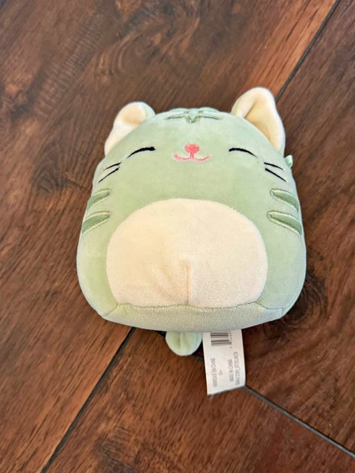 Squishmallow Chase The Cat Green Mint 8" - RARE