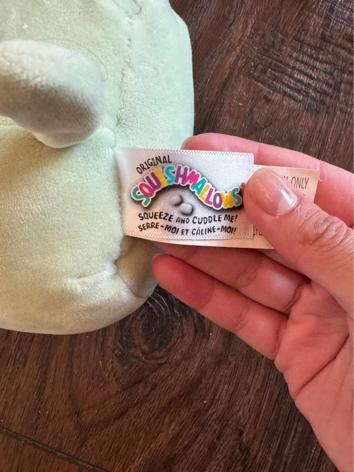 Squishmallow Chase The Cat Green Mint 8" - RARE - photo 2