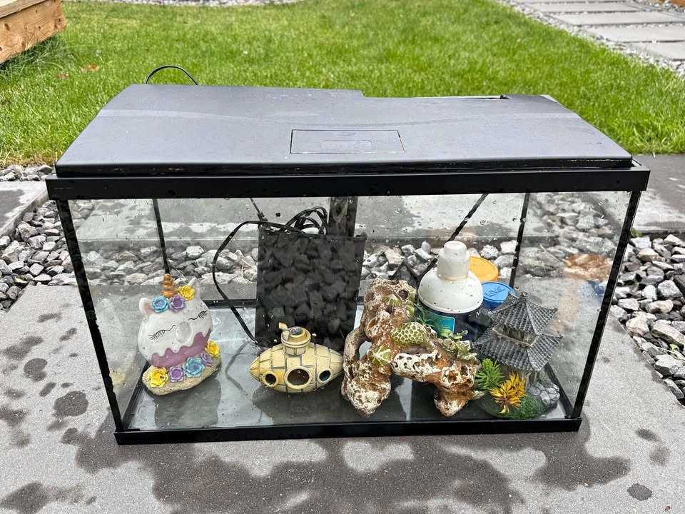 10 gallon glass fish tank with Accessories Bundle