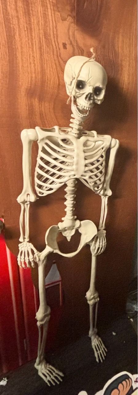 60inch Halloween Skeleton