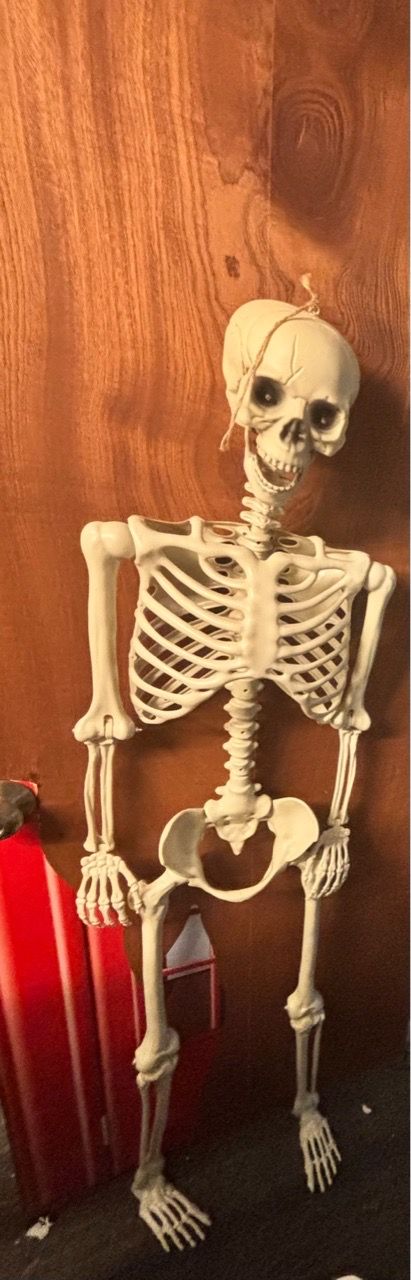 60inch Halloween Skeleton - photo 2