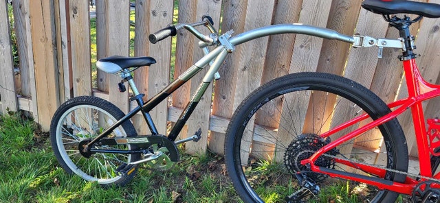 Co-Pilot Bike Trailer, 20-in Wheels, Kids