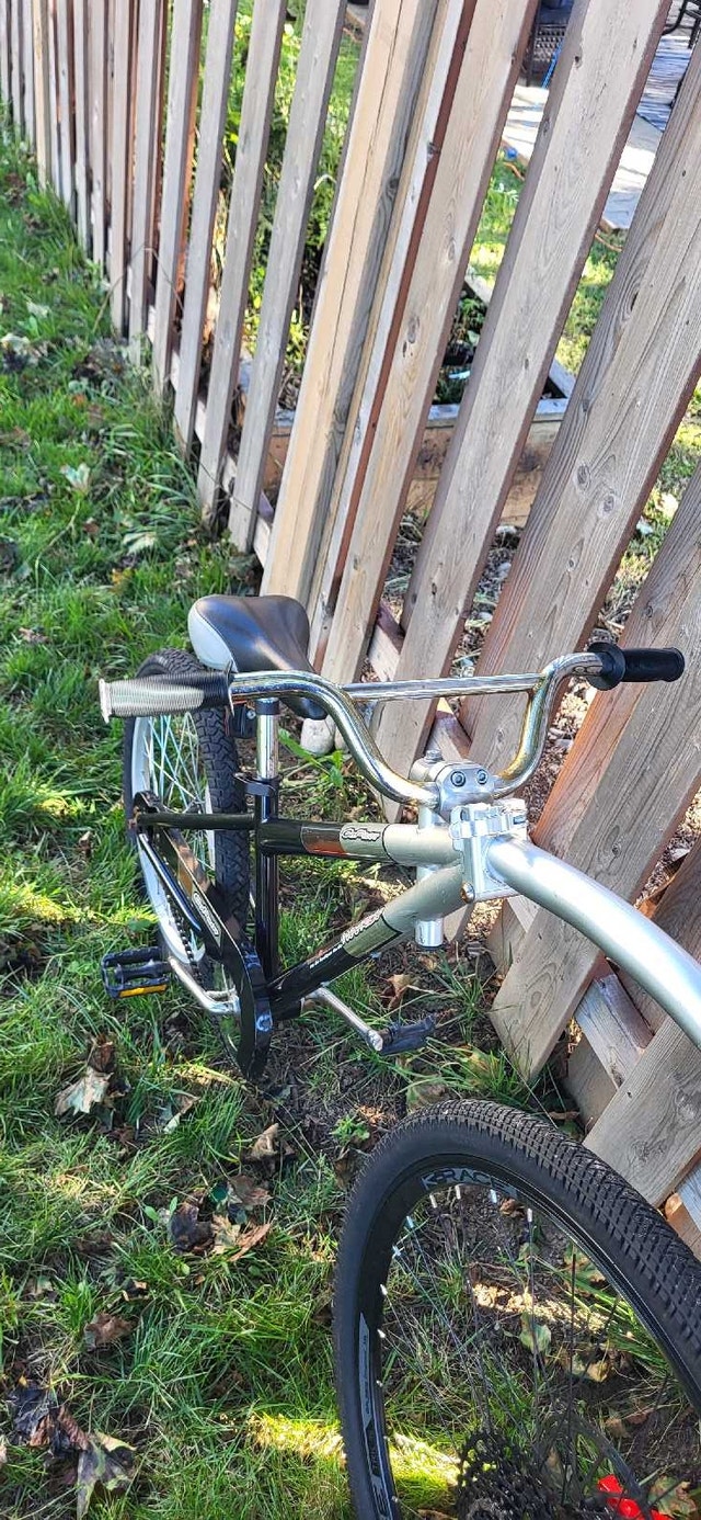 Co-Pilot Bike Trailer, 20-in Wheels, Kids - photo 2