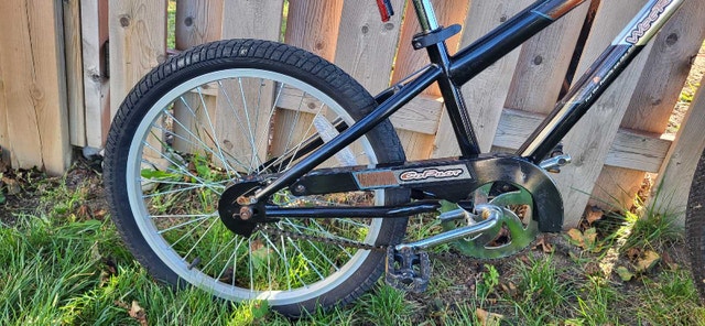 Co-Pilot Bike Trailer, 20-in Wheels, Kids - photo 3