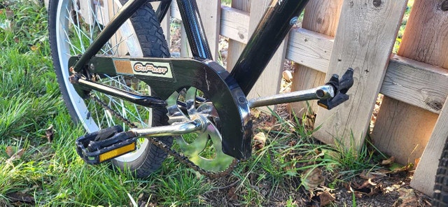 Co-Pilot Bike Trailer, 20-in Wheels, Kids - photo 5