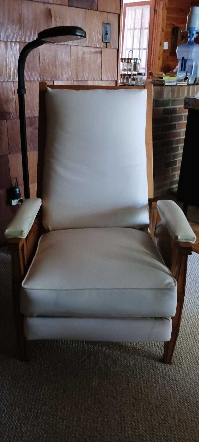Two Reclining Chairs
