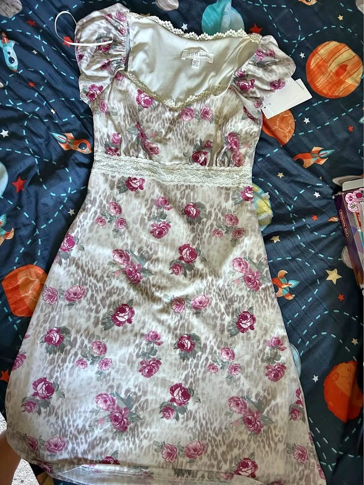 Wild Skye Mesh Dress