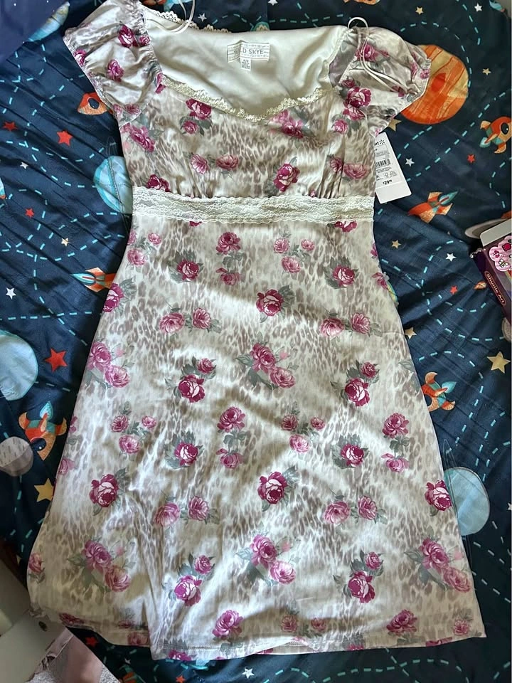 Wild Skye Mesh Dress