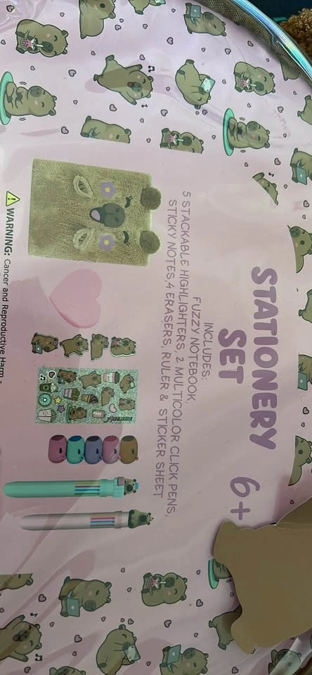 Dream Pop Capybara Stationery Set - photo 5