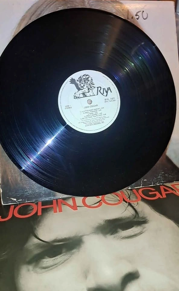 Vintage 70s and 80s Vinyls - photo 4