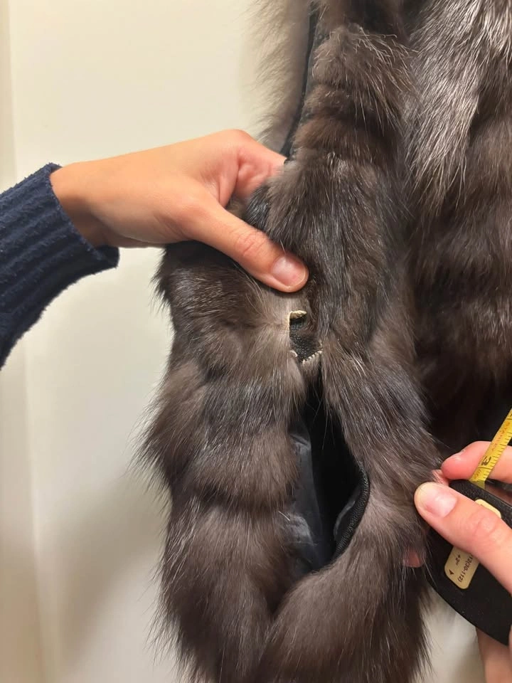 SILVER FOX VEST - photo 4
