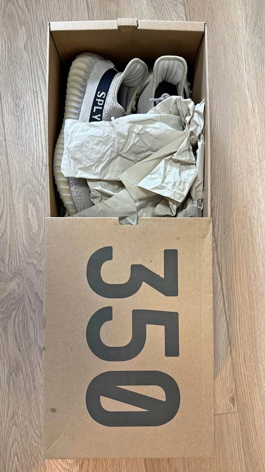 Adidas Yeezy Boost 350 V2 Slate (Size 10.5) (NEVER WORN)