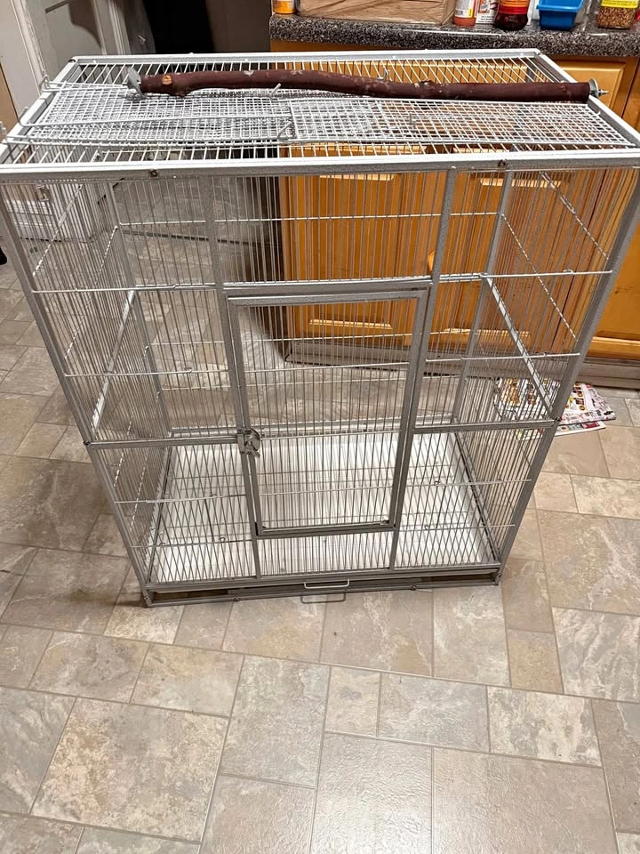 Large Metal Bird Flight Cage
