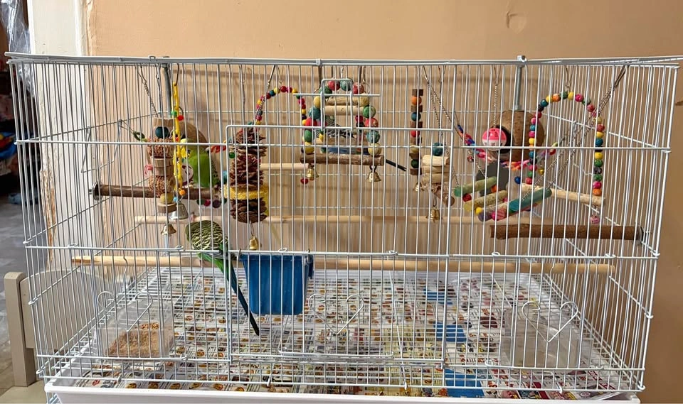 Yaheetech 30.5" Flight Bird Cage