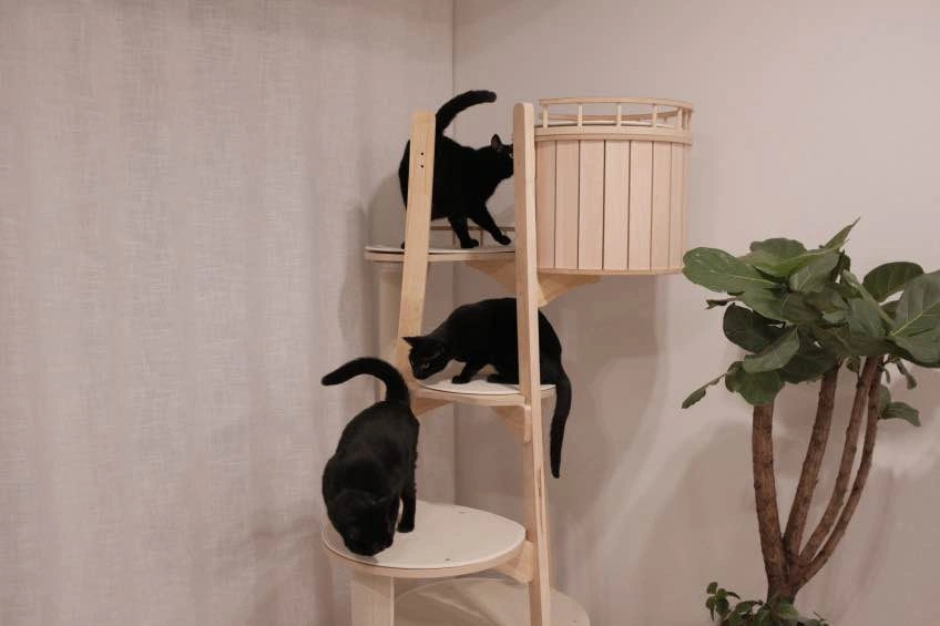 Solid Wood Cat Tree - photo 3