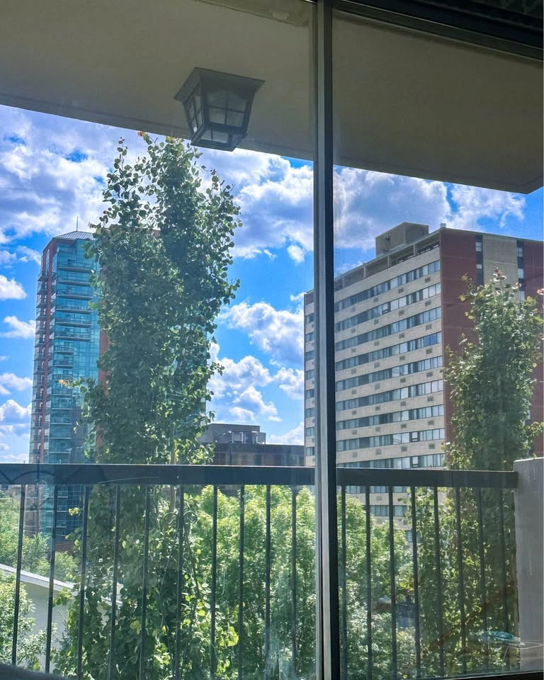 2 Bed 1 Bath Apartment - photo 4