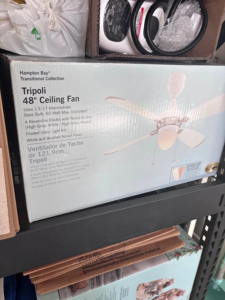 Ceiling fan