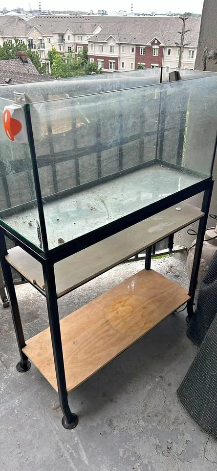 Fish Tank
