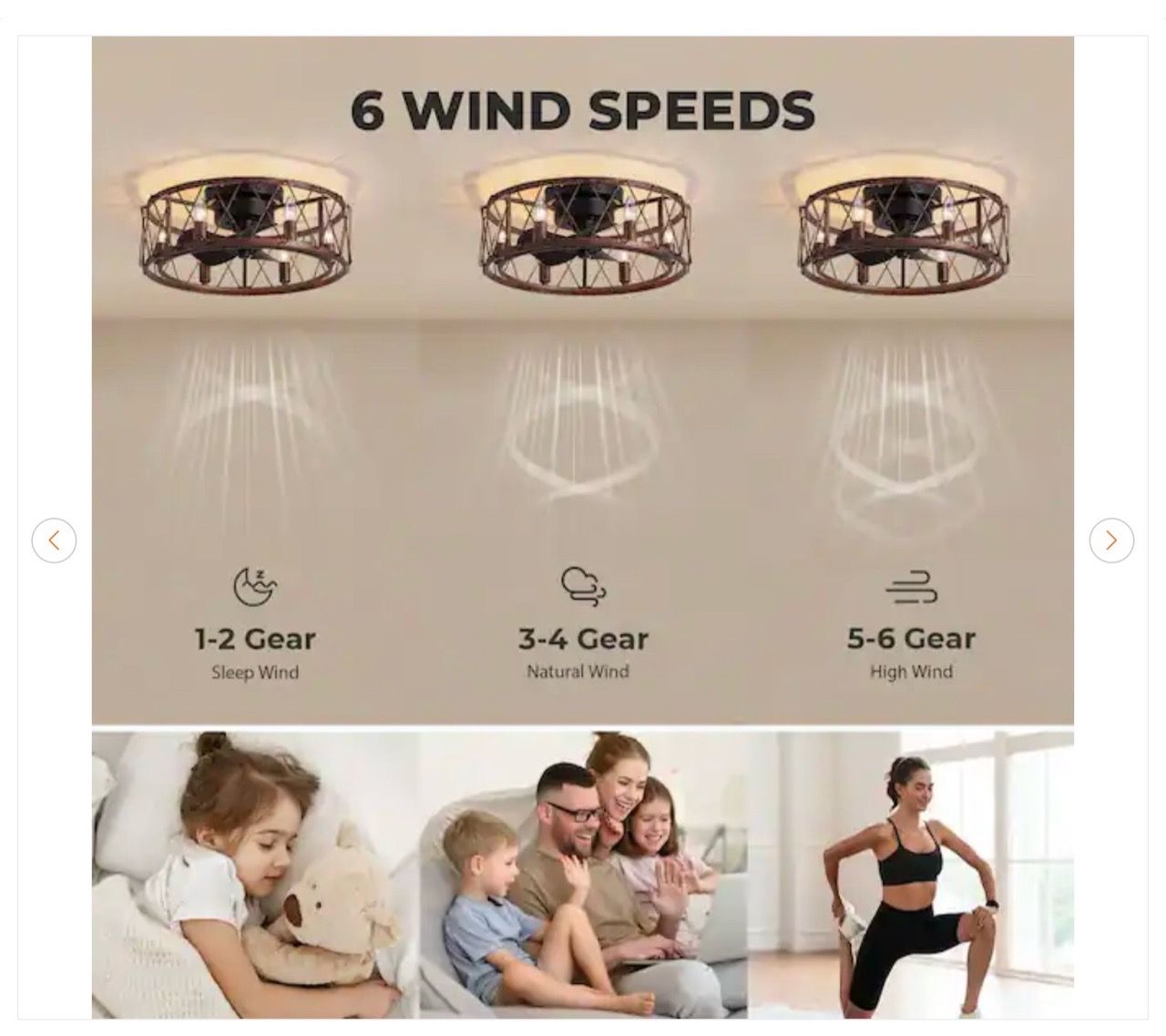 20 in. Indoor Farmhouse Black Caged Ceiling Fan with Lights - photo 3