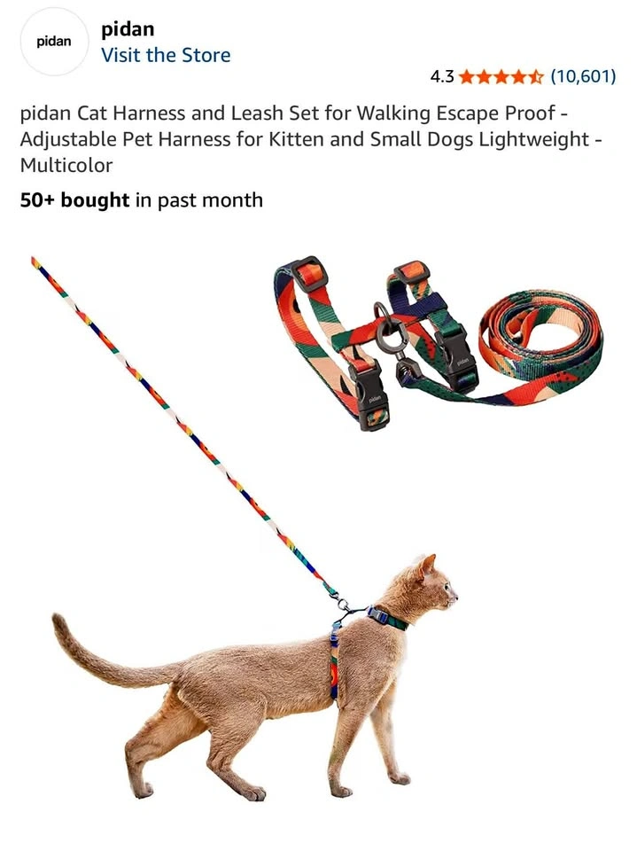 Cat Harness and Leash Set