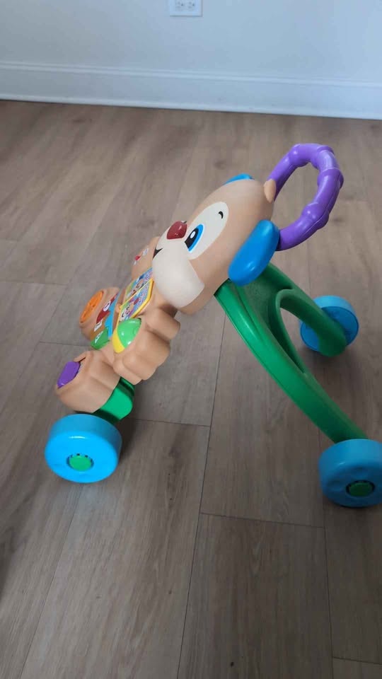Puppy Walker - photo 2