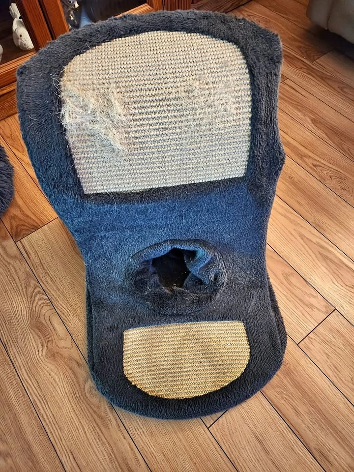 Cat Scratcher with two pole scratchers at back