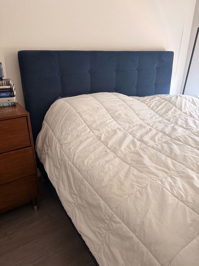 Queen Endy mattress and tufted bed frame