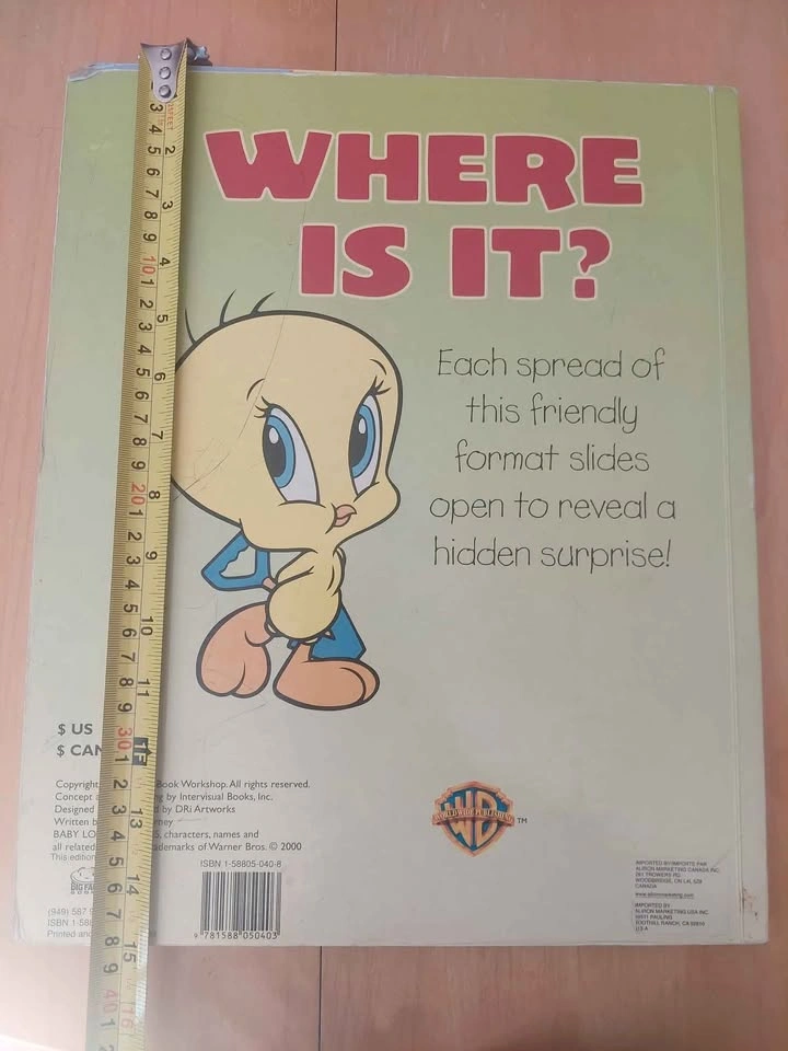 Jumbo Looney Tunes Slide Book - photo 3