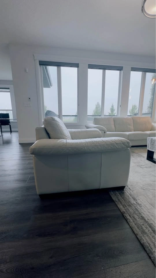 Sofa, love seat and chair - photo 5