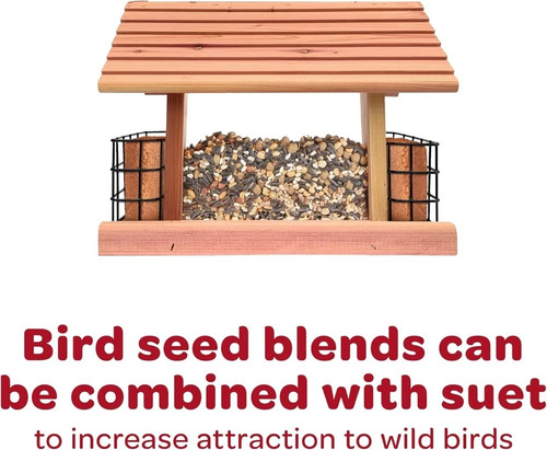 Kaytee Wild Bird Finch Food Blend 3 lb - photo 4