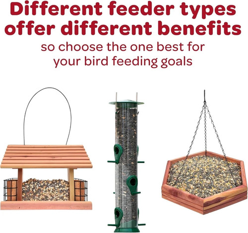 Kaytee Wild Bird Finch Food Blend 3 lb - photo 5