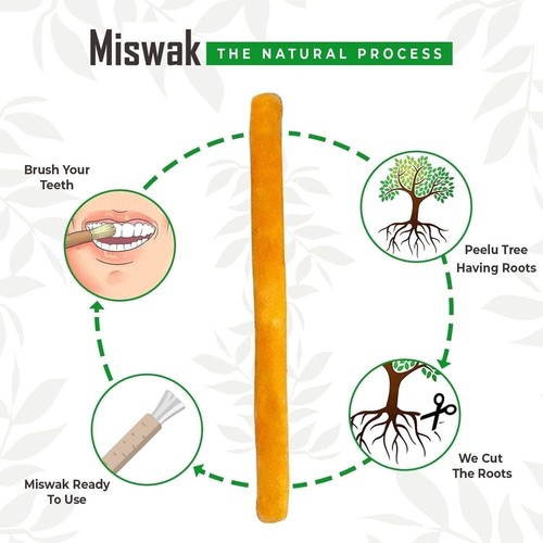 Miswak Sticks for Teeth, Sewak Natural Toothbrush - photo 2