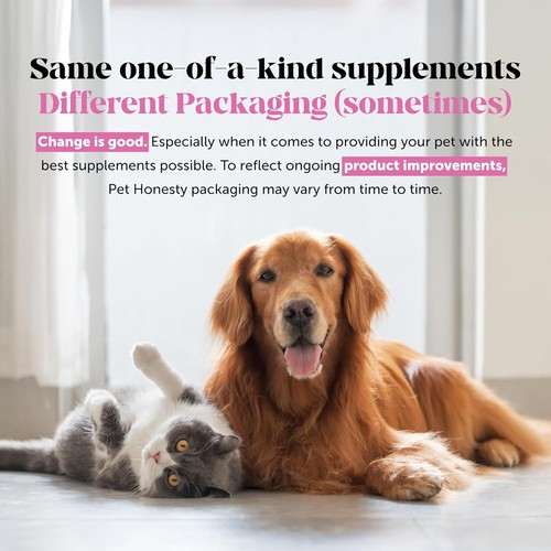 Dogs Probiotic - Digestive Enzymes Promotes Gut Health - photo 2