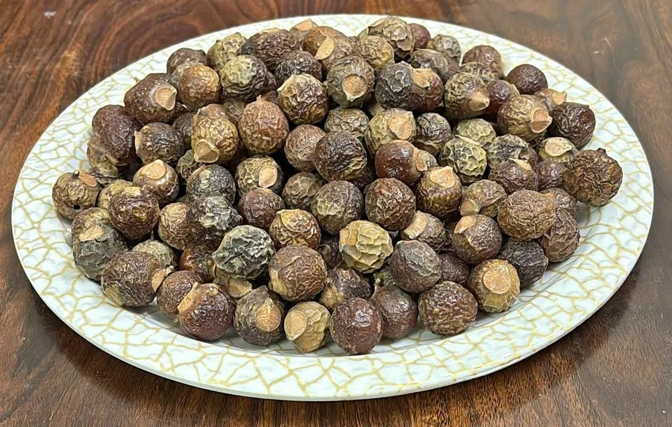 Reetha (Soap Nut)