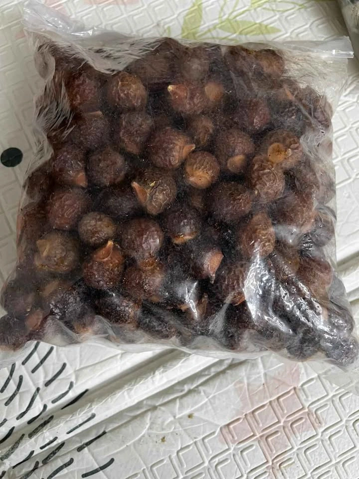 Reetha (Soap Nut) - photo 2