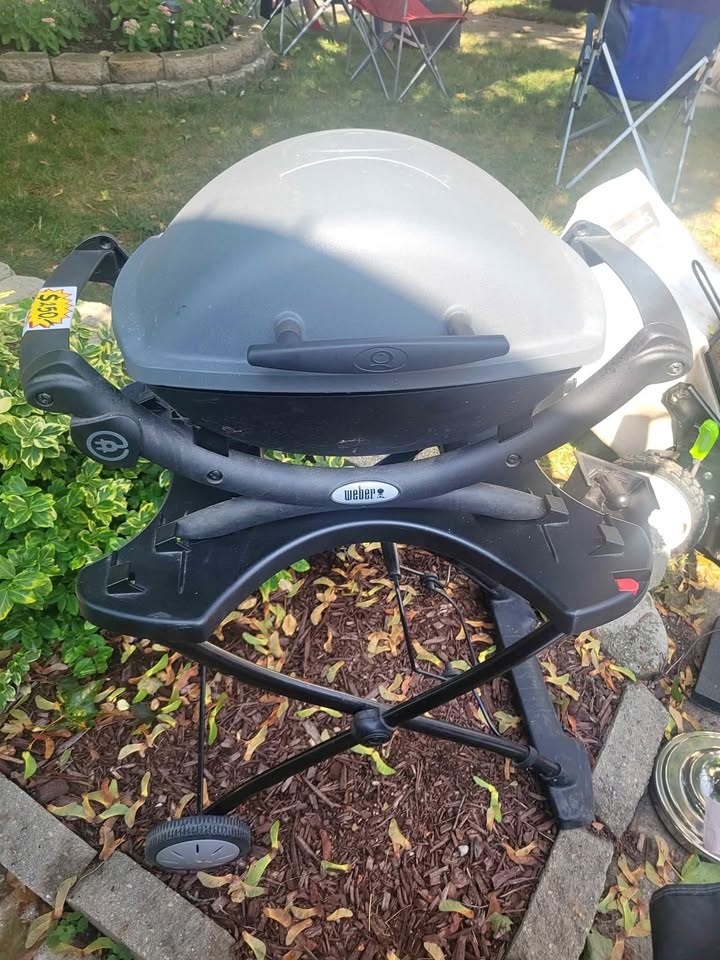 Weber Electric Grill