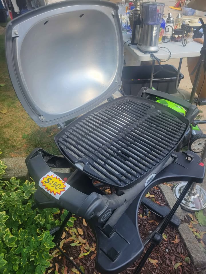 Weber Electric Grill - photo 2